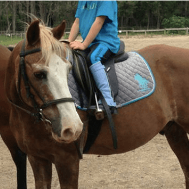 Horse Riding in Cape Town - Houtbay Riding Centre