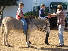 Donkey rides at Imhoff Farm