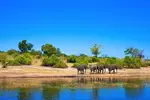 All you should know about the South African Weather to make the most of your stay or holiday in South Africa.