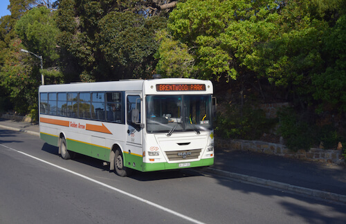 Golden Arrow bus - image by Authentic Travel/ Shutterstock.com