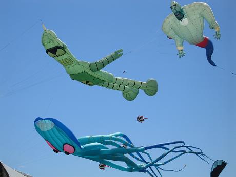Muizenberg Kite Festival