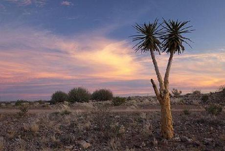 Richtersveld Landscape by SouthAfrican.net