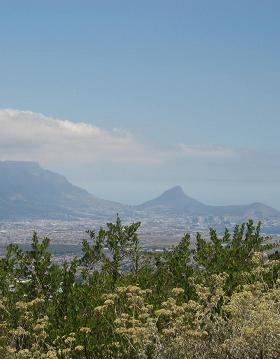 View from Tygerberg Cape Town