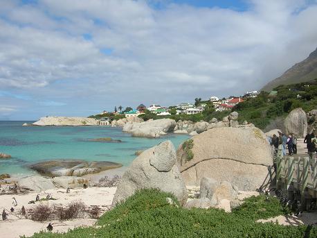 Cape Town Boulders Beach - Why Cape Town?