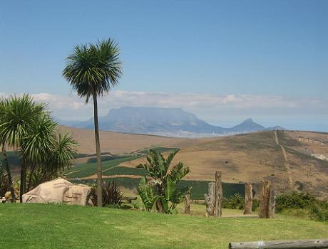 Table Mountain seen from Durbanville wine valley