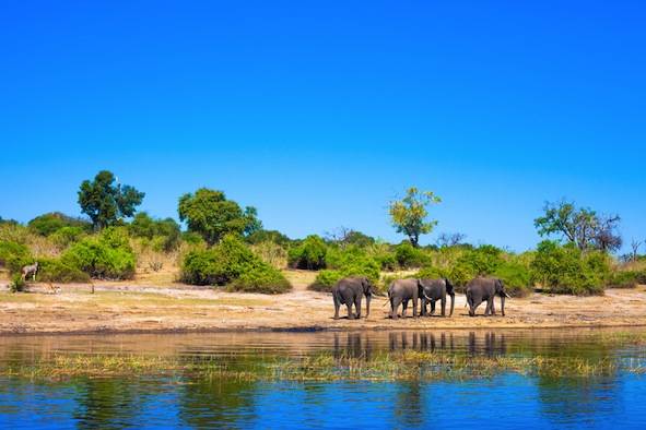 Blue sky over South Africa, image by Shutterstock