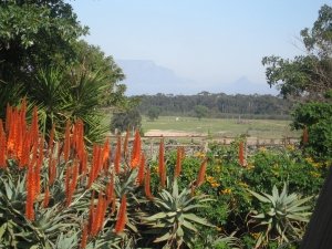 West Coast Ostrich Farm in Autumn