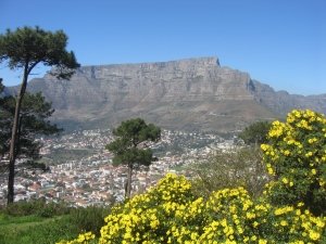 Table Mountain in spring