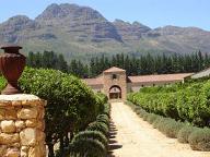 Waterford Vineyards in the Stellenbosch Wine Region
